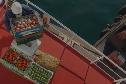 Carga de cajas con frutas y verduras en una embarcación